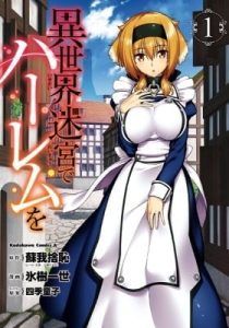 Isekai Meikyuu de Harem o